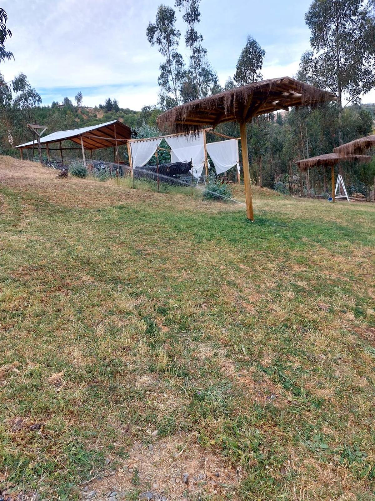 Chalé Don Domingo