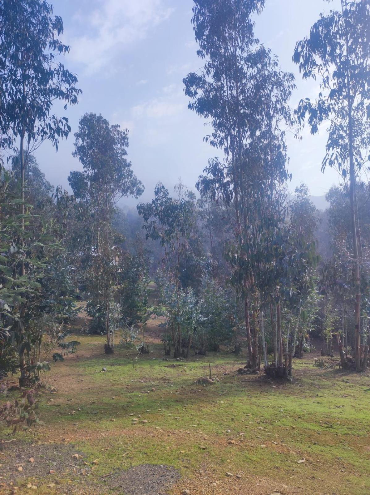 Chalé Don Domingo Curico