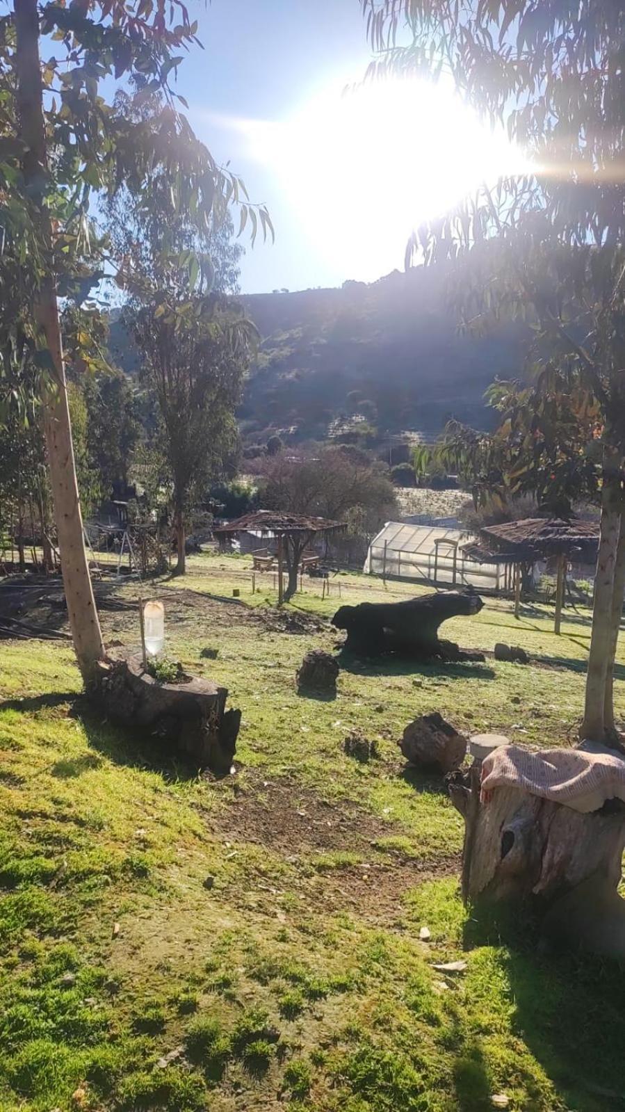 Chalé Don Domingo Curico